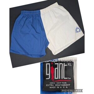 Vintage 90s TOOL Band Gym Shorts Size XL Blue White Made In USA Giant Brand NOS
